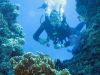 Hurghada_11_2006_Taucher_025.jpg